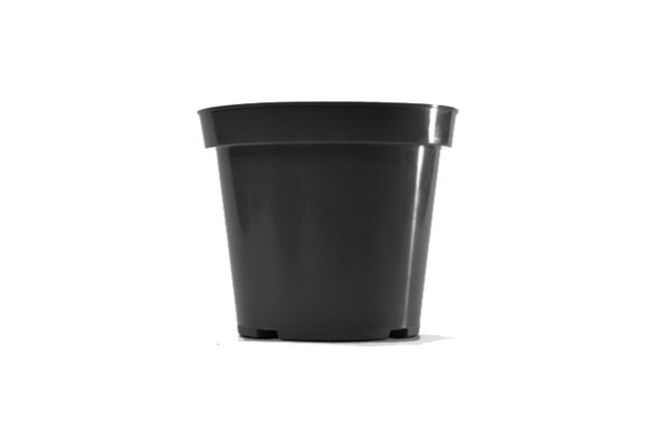 3 Inch Standard Round Pot Black Belden - 1000 per case - Standard